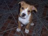 100_2998.jpg