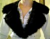 Snapshot_20100916.jpg