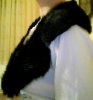 Snapshot_20100916_1.jpg