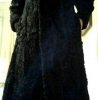 Snapshot_20100916_6.jpg