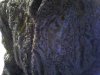 Snapshot_20100916_12.jpg