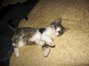 IMG_050622.jpg