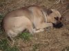 DSC02974.jpg