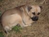 DSC02975.jpg