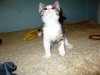 IMG_04792.jpg