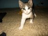 IMG_04802.jpg