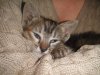 DSC02880.jpg