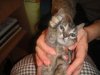 DSC02875.jpg