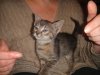 DSC02878.jpg