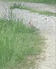 20200612_185603.jpg