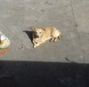 IMG_20200314_193931.jpg