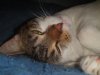 DSC02960.jpg