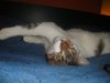 DSC02961.jpg