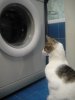 DSC02970.jpg