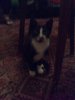11102010628.jpg