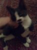 11102010626.jpg