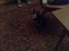 11102010629.jpg