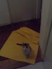 19112010680.jpg
