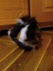 2010-12-04 12.32.12.jpg