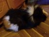 2010-12-04 12.33.25.jpg