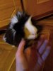 2010-12-04 12.33.43.jpg