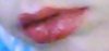 Snapshot_20091122_306.jpg