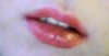 Snapshot_20091122_303.jpg
