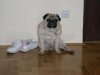 DSCN2004.jpg