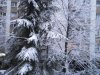 Pogled kroz prozor.jpg