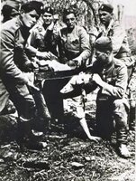 Jasenovac.jpg
