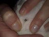 22032011271.jpg