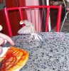 DSCN20221.jpg