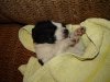 DSC03993.jpg