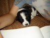 DSC03992-1.jpg