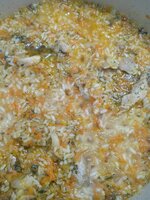 IMG_20201026_113152.jpg
