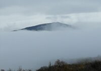 IMG_20201108_100721.jpg