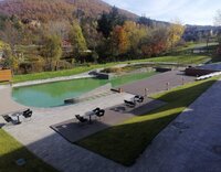 IMG_20201108_100804.jpg