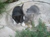 IMG_0530res.jpg