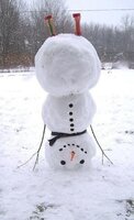 IMG_20201227_095053.jpg