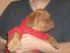 Nina nove slike 008.jpg
