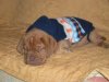 Nina nove slike 009.jpg