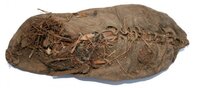 oldest3.jpg