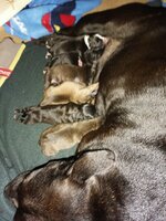 IMG_20210209_175017.jpg