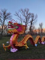 IMG_20210223_170230.jpg