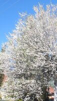 IMG_5353.JPG