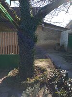 IMG_20210215_125104573.jpg