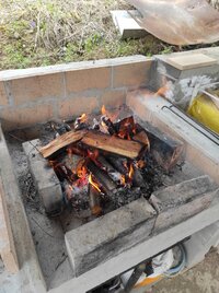 IMG_20210328_131020.jpg