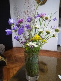 IMG_20190714_081422.jpg