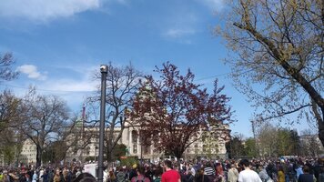 IMG_20210410_140857.jpg