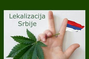 759853_lekaliyacija_ls.jpg